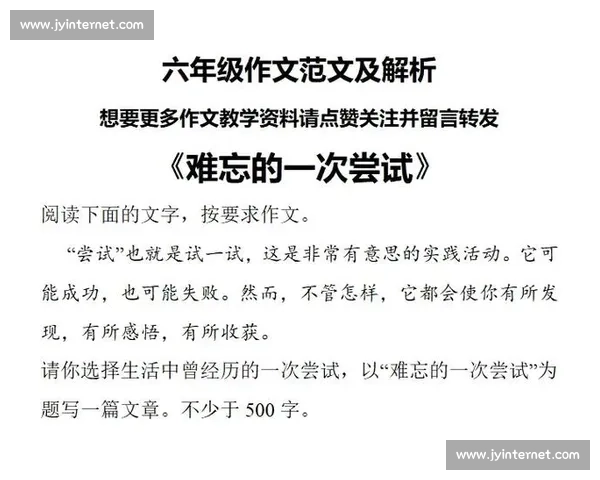 《难忘的一次查字典比赛：从拼搏到成功的成长经历》